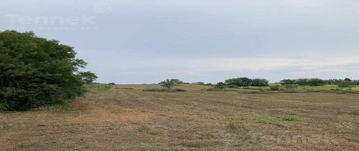 Foto de terreno habitacional en venta en  , la rivera, tampico alto, veracruz de ignacio de la llave, 0 No. 05