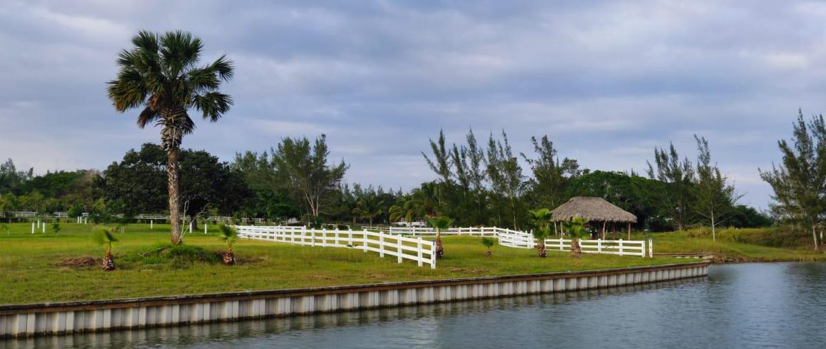 Foto de terreno habitacional en venta en  , la rivera, tampico alto, veracruz de ignacio de la llave, 0 No. 05