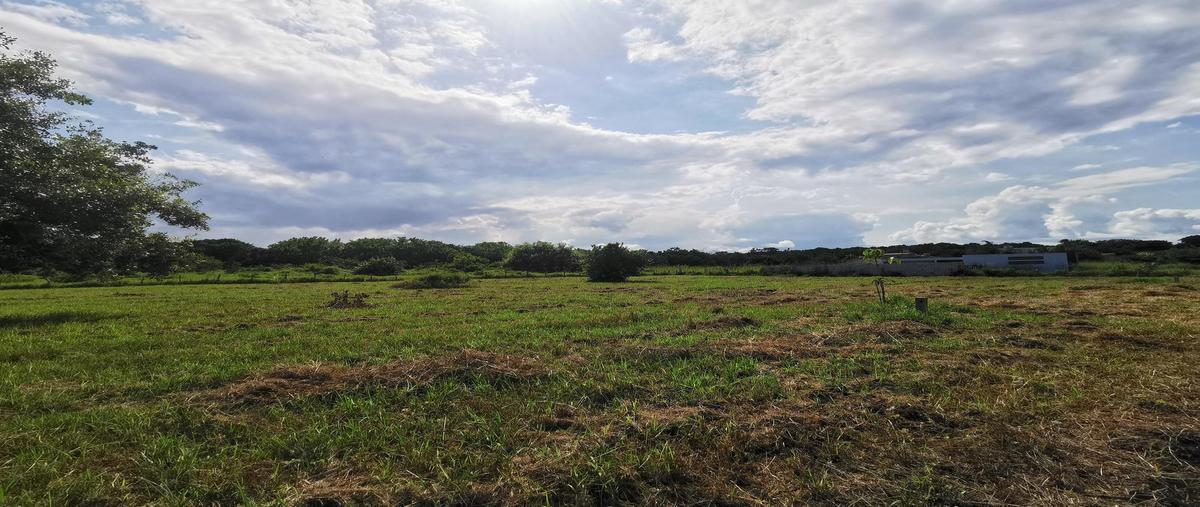 Foto de terreno habitacional en venta en  , la rivera, tampico alto, veracruz de ignacio de la llave, 0 No. 05