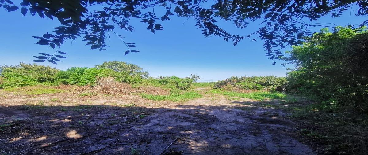 Foto de terreno habitacional en venta en  , la rivera, tampico alto, veracruz de ignacio de la llave, 0 No. 03