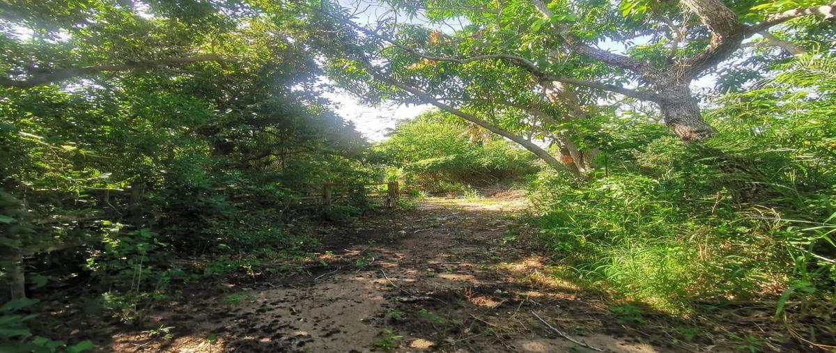 Foto de terreno habitacional en venta en  , la rivera, tampico alto, veracruz de ignacio de la llave, 0 No. 04