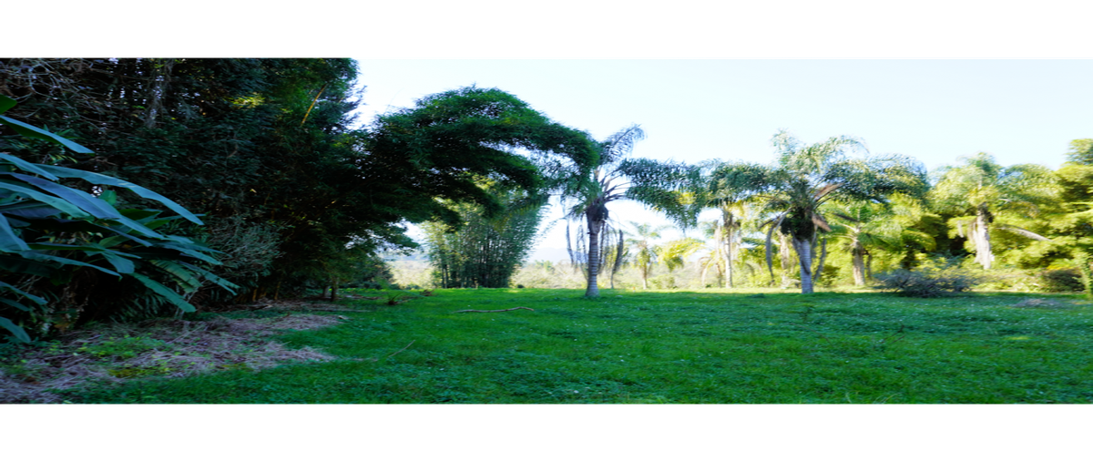 Foto de terreno habitacional en venta en  , la rivera, xicotepec, puebla, 0 No. 05