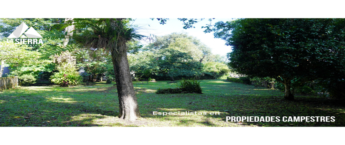 Foto de terreno habitacional en venta en  , la rivera, xicotepec, puebla, 0 No. 05