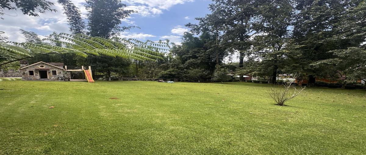 Foto de terreno habitacional en venta en  , la rivera, xicotepec, puebla, 30341014 No. 03