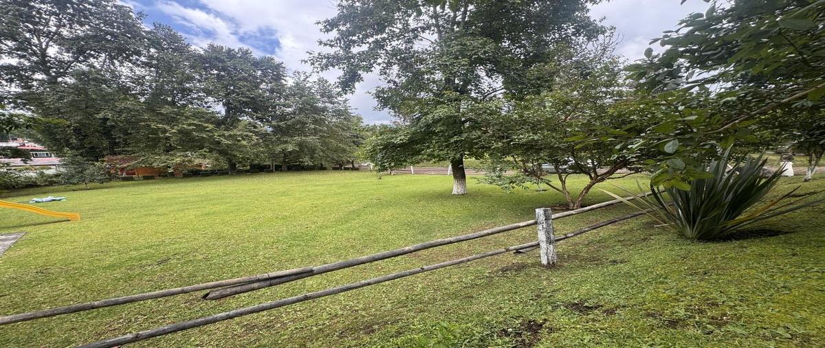 Foto de terreno habitacional en venta en  , la rivera, xicotepec, puebla, 30341014 No. 04