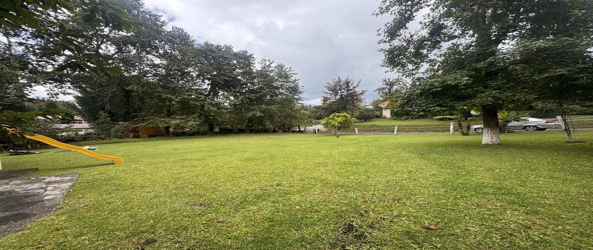 Foto de terreno habitacional en venta en  , la rivera, xicotepec, puebla, 30341014 No. 05