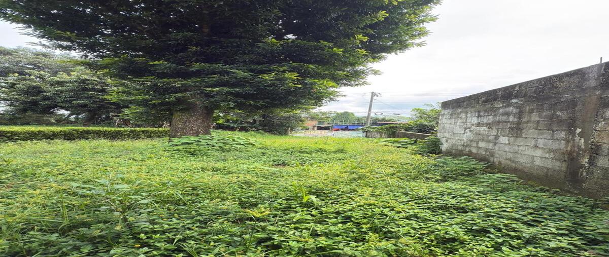 Foto de terreno habitacional en renta en  , la rivera, xicotepec, puebla, 30341015 No. 04
