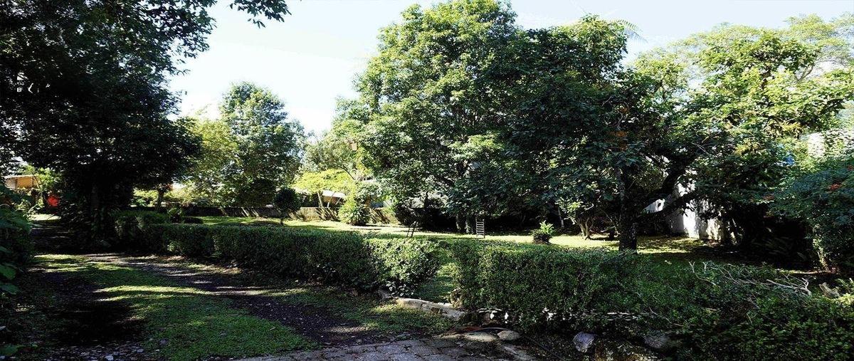Foto de terreno habitacional en venta en  , la rivera, xicotepec, puebla, 30341023 No. 03