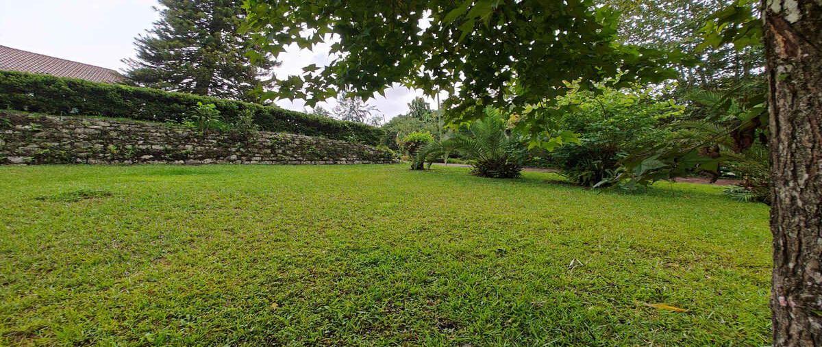 Foto de terreno habitacional en venta en  , la rivera, xicotepec, puebla, 0 No. 03