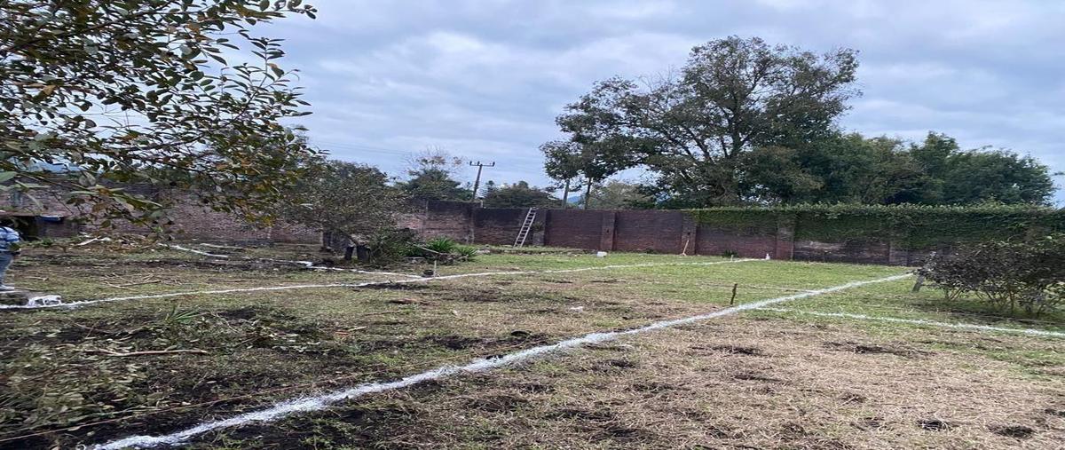 Foto de terreno habitacional en venta en  , la rivera, xicotepec, puebla, 0 No. 03