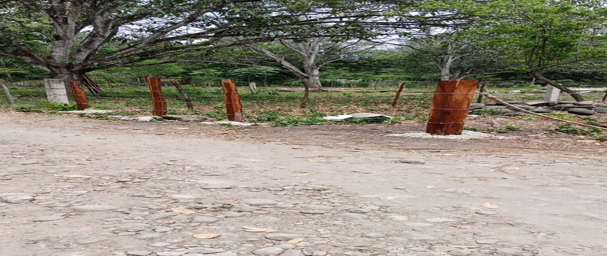 Foto de terreno habitacional en la rodada a, jalcomulco, jalcomulco, veracruz de ignacio de la llave, 29934059 foto 03 Foto de terreno habitacional en venta en la rodada a, jalcomulco, jalcomulco, veracruz de ignacio de la llave, 29934059 No. 03