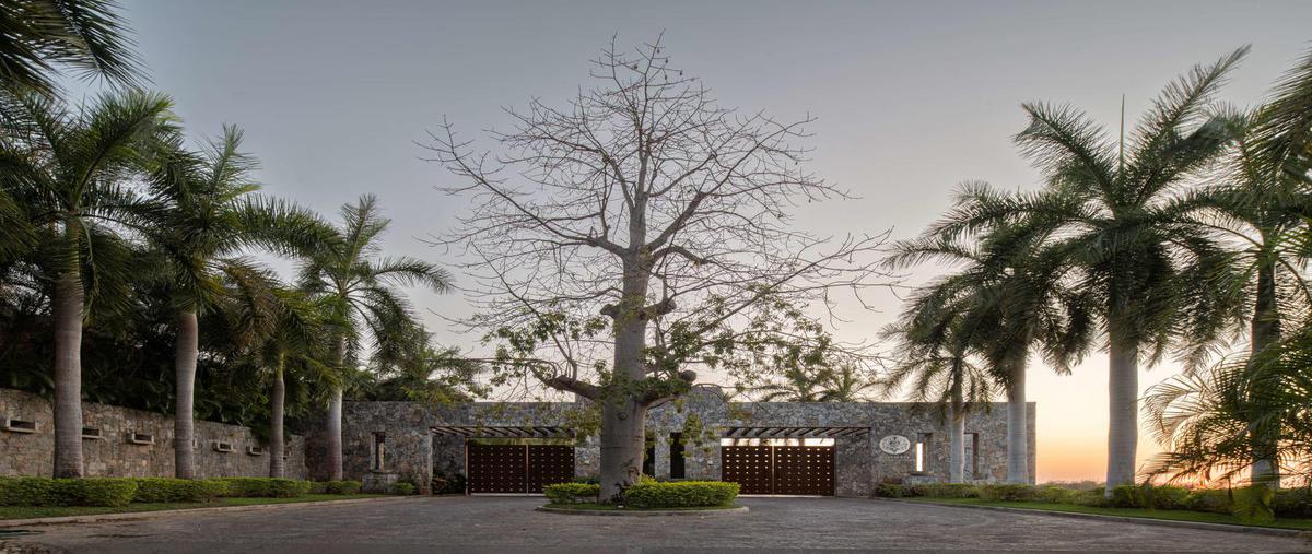 Foto de terreno comercial en venta en  , la ropa, zihuatanejo de azueta, guerrero, 0 No. 04