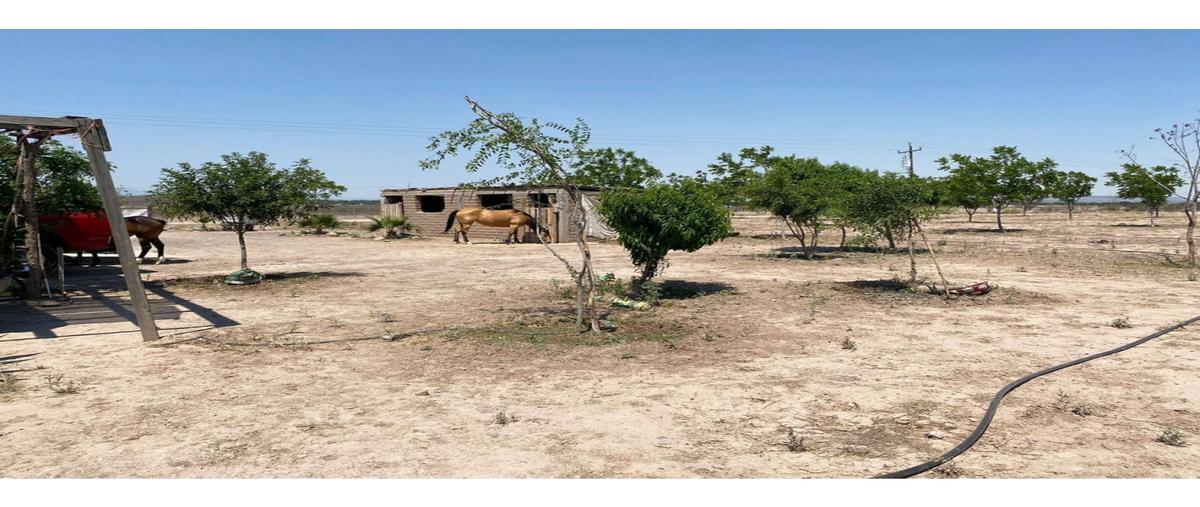 Foto de terreno habitacional en , la rosa, general cepeda, coahuila de zaragoza, 0 foto 03 Foto de terreno habitacional en venta en , la rosa, general cepeda, coahuila de zaragoza, 0 No. 03