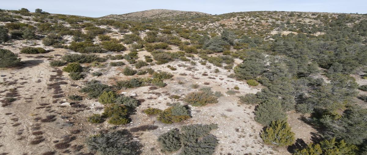 Foto de terreno habitacional en venta en  , la rumorosa, tecate, baja california, 27444270 No. 03