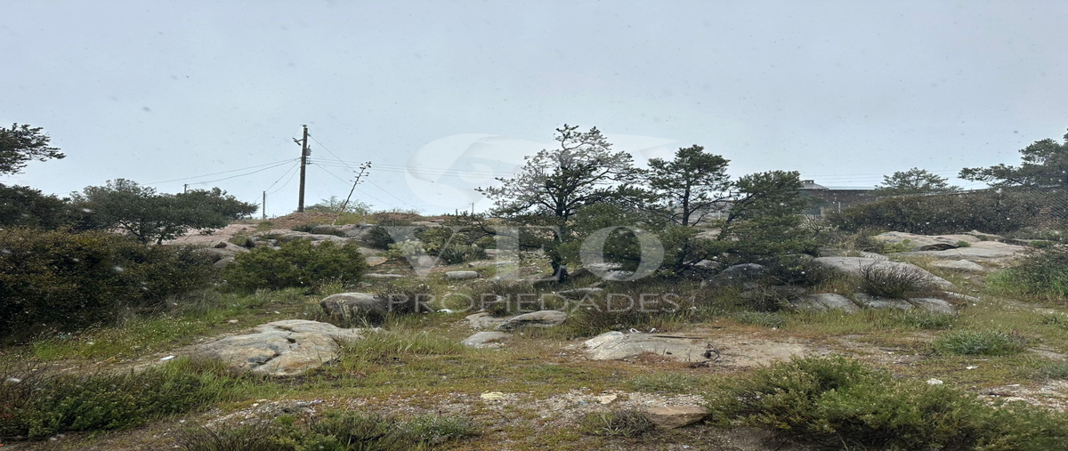 Foto de terreno habitacional en venta en  , la rumorosa, tecate, baja california, 27956139 No. 03