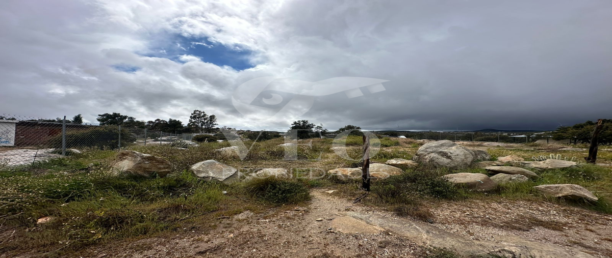 Foto de terreno habitacional en venta en  , la rumorosa, tecate, baja california, 27956139 No. 05