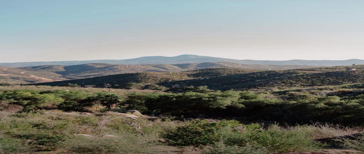 Foto de terreno habitacional en venta en la ruta del vino , francisco zarco (valle de guadalupe), ensenada, baja california, 31078584 No. 03