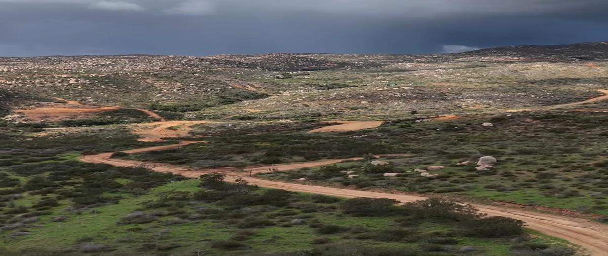 Foto de terreno habitacional en venta en la ruta del vino , francisco zarco (valle de guadalupe), ensenada, baja california, 31078584 No. 04