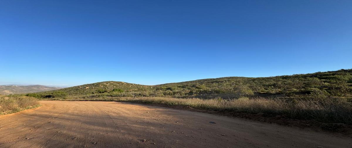 Foto de terreno habitacional en venta en la ruta del vino kilometro 70 , el porvenir, ensenada, baja california, 29795014 No. 03