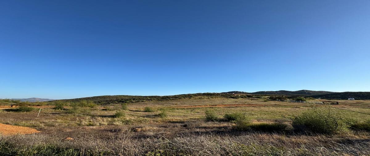 Foto de terreno habitacional en venta en la ruta del vino kilometro 70 , el porvenir, ensenada, baja california, 29795014 No. 05