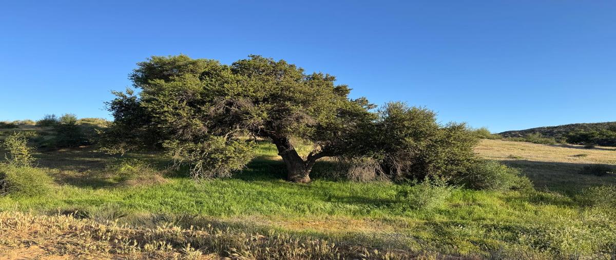 Foto de terreno habitacional en venta en la ruta del vino kilometro 70 , el porvenir, ensenada, baja california, 29795027 No. 03