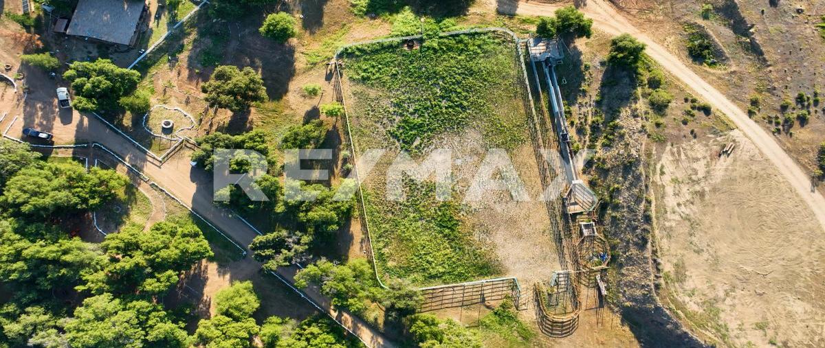 Foto de terreno habitacional en venta en la ruta del vino kilometro 70 , lomas del sauzal, ensenada, baja california, 0 No. 03