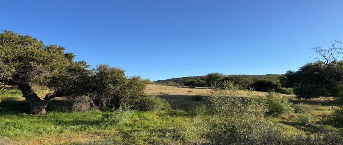 Foto de terreno habitacional en venta en la ruta del vino kilometro 70 , san antonio de las minas, ensenada, baja california, 29795013 No. 05