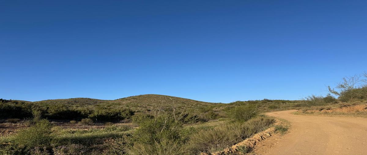Foto de terreno habitacional en venta en la ruta del vino kilometro 70 , san antonio de las minas, ensenada, baja california, 29795013 No. 17