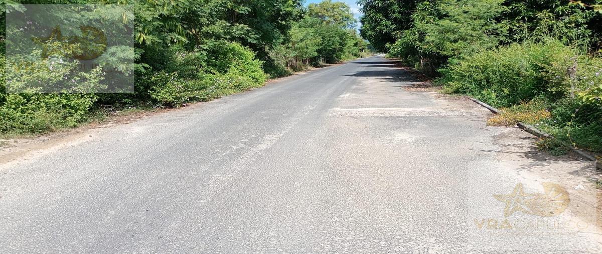 Foto de terreno habitacional en venta en  , la sabana, acapulco de juárez, guerrero, 0 No. 04