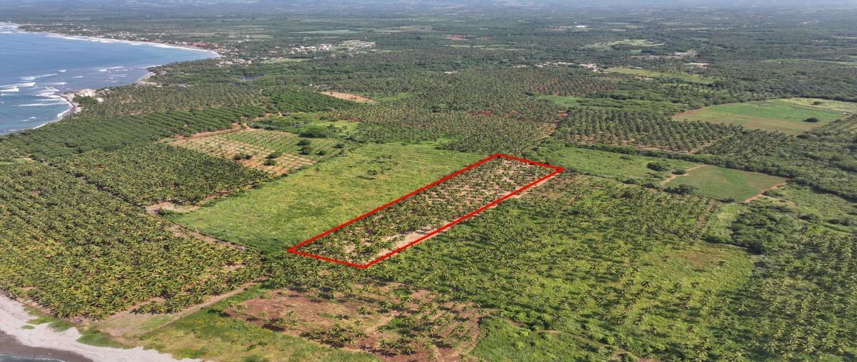 Foto de terreno habitacional en venta en  , la saladita, la unión de isidoro montes de oca, guerrero, 27389117 No. 03