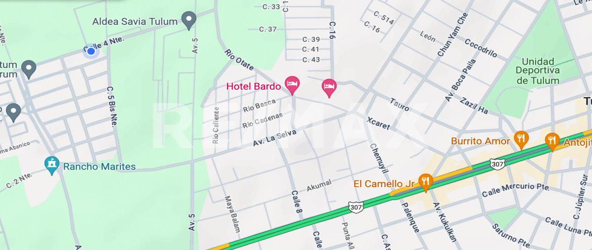 Foto de terreno habitacional en la selva , tulum centro, tulum, quintana roo, 28173056 foto 02 Foto de terreno habitacional en venta en la selva , tulum centro, tulum, quintana roo, 28173056 No. 02