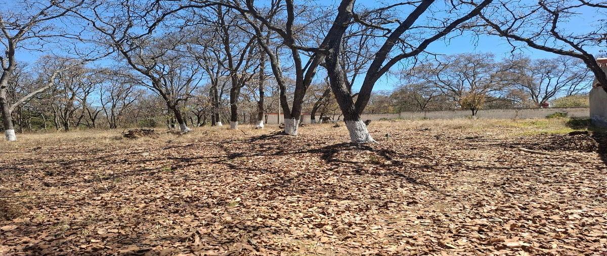 Foto de terreno habitacional en la sirena , villa del carbón, villa del carbón, méxico, 30660164 foto 03 Foto de terreno habitacional en venta en la sirena , villa del carbón, villa del carbón, méxico, 30660164 No. 03