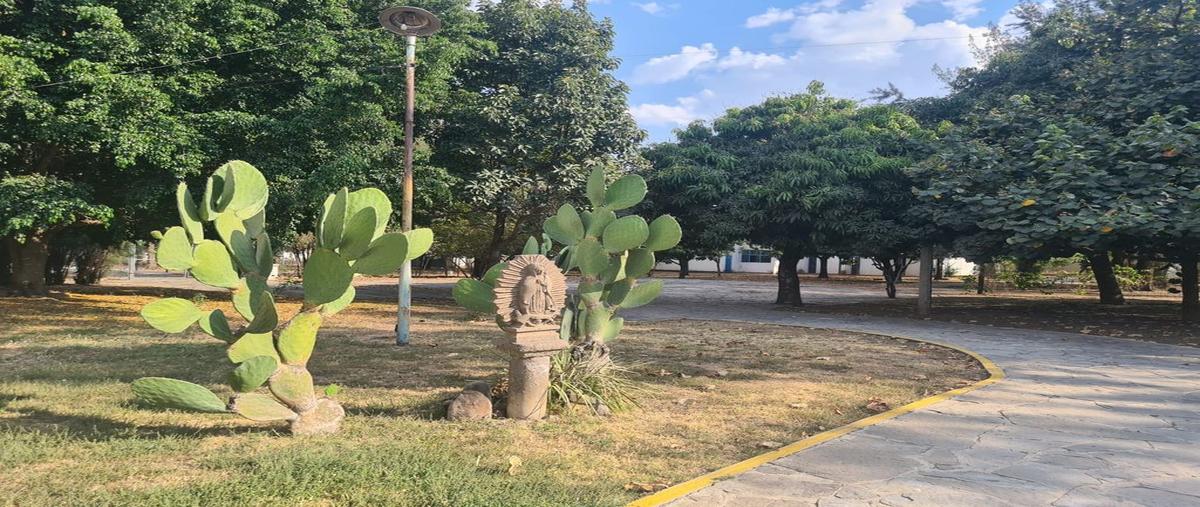 Foto de terreno habitacional en venta en la soledad 250, rancho los ocampo, tlajomulco de zúñiga, jalisco, 0 No. 04