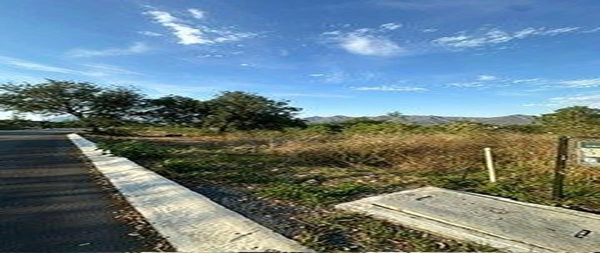 Foto de terreno habitacional en venta en  , la soledad (el tamani), santiago tuxtla, veracruz de ignacio de la llave, 0 No. 04