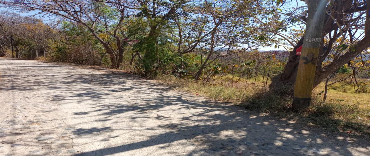 Foto de terreno habitacional en venta en la soledad , san agustin etla, san agustín etla, oaxaca, 30899480 No. 03