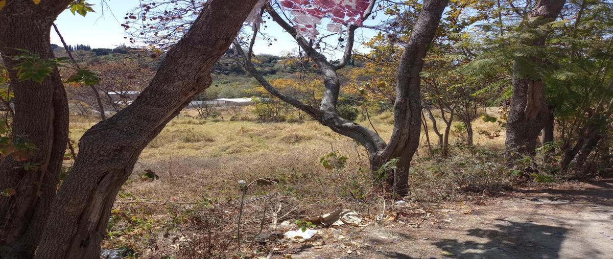 Foto de terreno habitacional en venta en la soledad , san agustin etla, san agustín etla, oaxaca, 30899480 No. 04