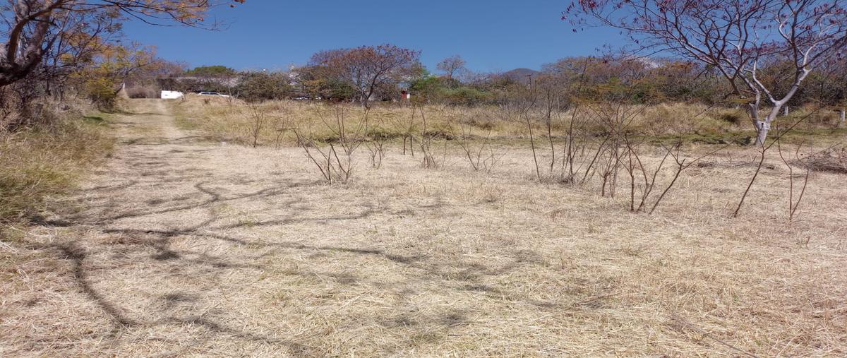Foto de terreno habitacional en venta en la soledad , san agustin etla, san agustín etla, oaxaca, 30899488 No. 03