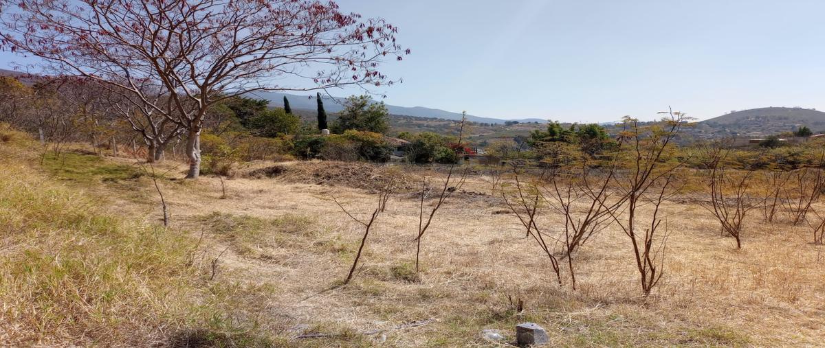 Foto de terreno habitacional en venta en la soledad , san agustin etla, san agustín etla, oaxaca, 30899488 No. 04