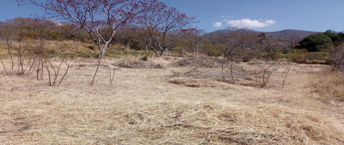 Foto de terreno habitacional en venta en la soledad , san agustin etla, san agustín etla, oaxaca, 30899488 No. 05