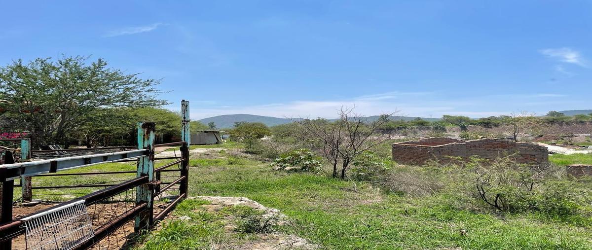 Foto de terreno habitacional en , la teja, tlajomulco de zúñiga, jalisco, 27074247 foto 03 Foto de terreno habitacional en venta en , la teja, tlajomulco de zúñiga, jalisco, 27074247 No. 03