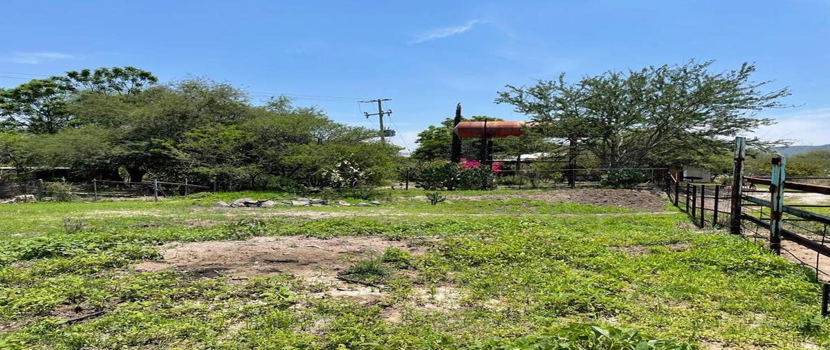 Foto de terreno habitacional en , la teja, tlajomulco de zúñiga, jalisco, 27074247 foto 05 Foto de terreno habitacional en venta en , la teja, tlajomulco de zúñiga, jalisco, 27074247 No. 05