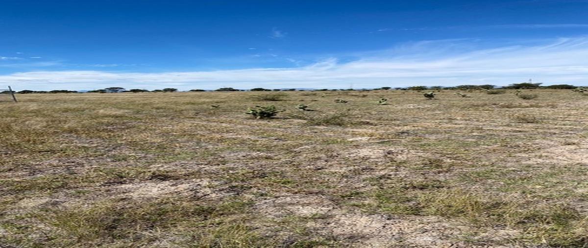 Foto de terreno habitacional en venta en  , la tinaja, el llano, aguascalientes, 27601165 No. 04