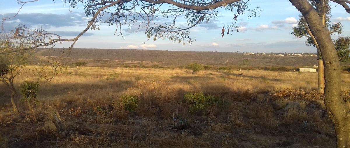 Foto de terreno comercial en venta en la tinaja , la tinaja de la estancia, querétaro, querétaro, 11483824 No. 05