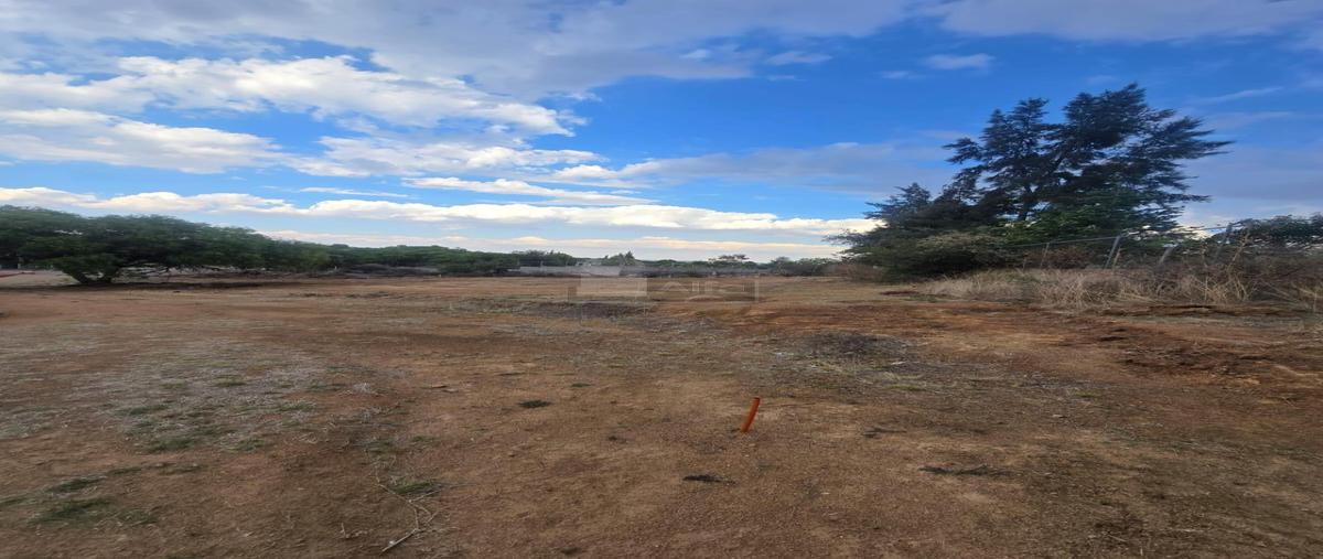 Foto de terreno comercial en venta en la tomatina 10000, la tomatina, jesús maría, aguascalientes, 0 No. 03