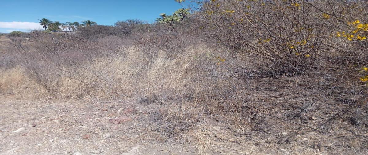 Foto de terreno habitacional en venta en  , la tomatina, jesús maría, aguascalientes, 0 No. 05