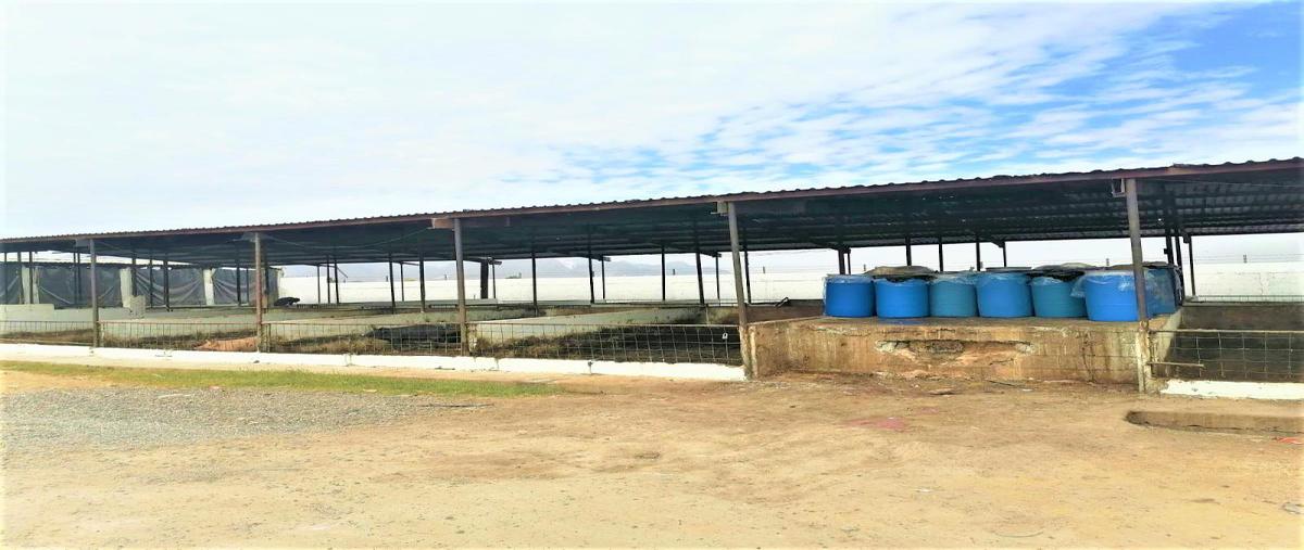 Foto de terreno comercial en la torreña , puente de la torreña, gómez palacio, durango, 0 foto 01 Foto de terreno comercial en venta en la torreña , puente de la torreña, gómez palacio, durango, 0 No. 01