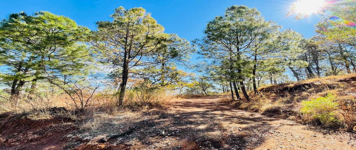 Foto de terreno habitacional en venta en la toscana , mazamitla, mazamitla, jalisco, 0 No. 03