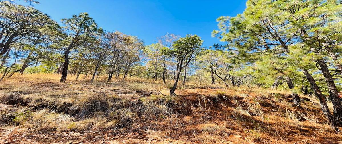 Foto de terreno habitacional en venta en la toscana , mazamitla, mazamitla, jalisco, 0 No. 04