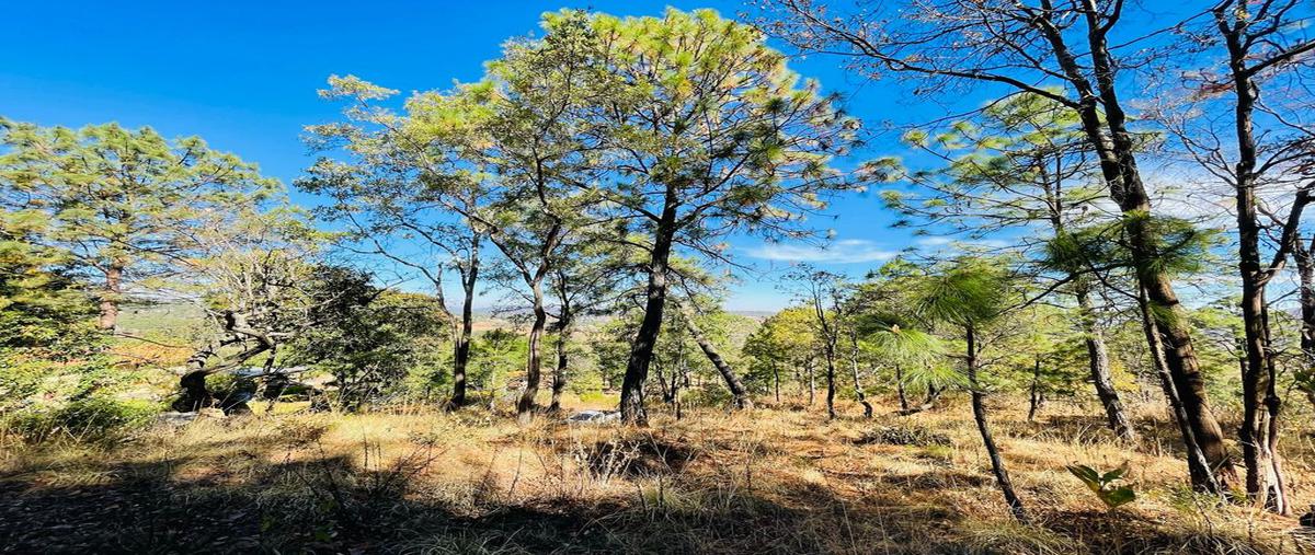 Foto de terreno habitacional en venta en la toscana , mazamitla, mazamitla, jalisco, 0 No. 05