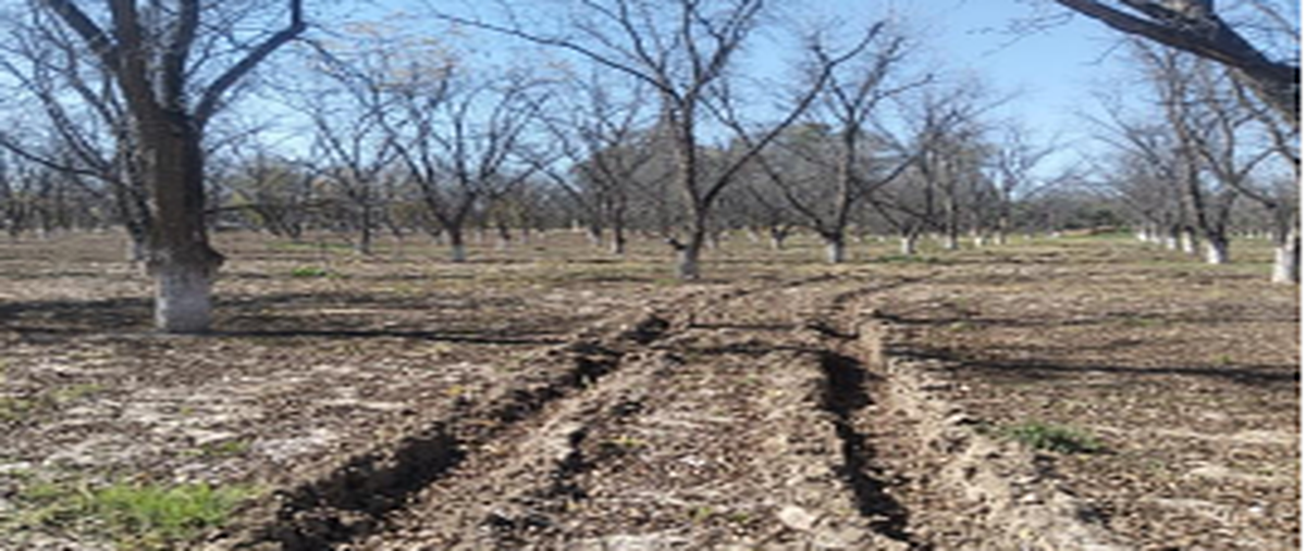 Foto de terreno habitacional en venta en  , la trinidad, aguascalientes, aguascalientes, 30695223 No. 04